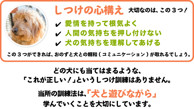 しつけの心構え 大切なのは、この3つ！✔✔✔愛情を持って根気よく人間の気持ちを押し付けない犬の気持ちを理解してあげる