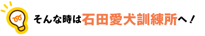 そんな時は石田愛犬訓練所へ！