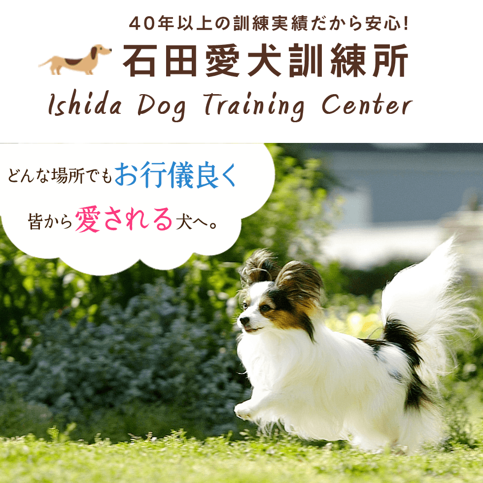 千葉県松戸市 犬のしつけ 訓練所 東京・埼玉・神奈川 | 石田愛犬訓練所